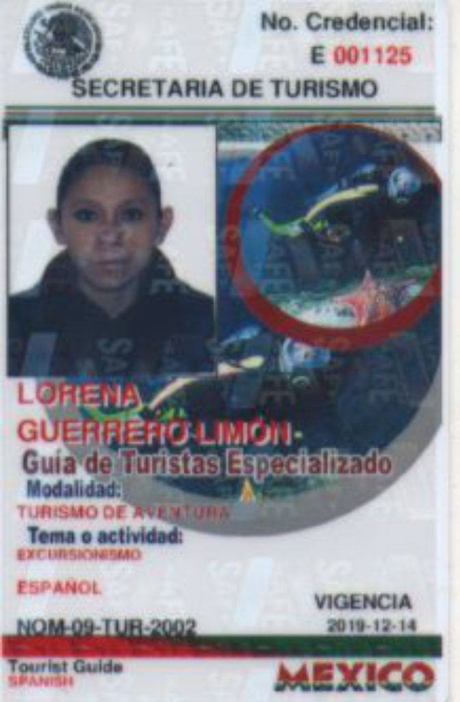 Lorena Guerero L.
